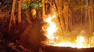 EARLY ARRIVAL Brush Fire Dozer Operations Jackson New Jersey 10/18/24