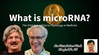 The 2024 Nobel Prize in Physiology or Medicine | What is microRNA?