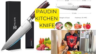 PAUDIN CHEF KNIFE, 8 INCH HIGH CARBON STAINLESS STEEL SHARP KITCHEN KNIFE WITH ERGONOMIC HANDLE