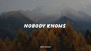 Rayne Johnson - Nobody Knows  ( Music Video Lyrics )