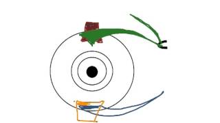 How to Biology & Anatomy: Extrinsic eye muscles (anterior view)