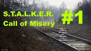 S.T.A.L.K.E.R. CoP: Call of Misery №1