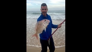 SURFCASTING CADIZ PARGA, VIEJA... PESCA LIMASURFCASTING