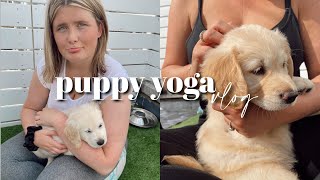 We went to puppy yoga! 🐶