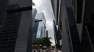 Reflection of CN Tower #shorts | Downtown Toronto Canada | Rogers Centre Toronto