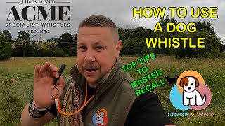 How to use a DOG WHISTLE | Improve your dogs RECALL | @acmewhistles1817 | #dogs #dogtraining | 4K