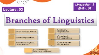 Branches of Linguistics | Linguistics Branches with examples in Urdu/Hindi