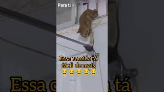 essa comida tá muito fácil 😄 #shorts_ #vamosrir #humor