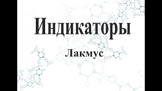 Лакмус