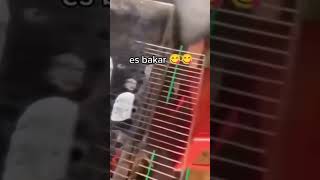 es bakar 😂😱🔥 #lucu #viralshort #tiktokvideo #fypage #ontrending #fenomena #mistis