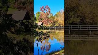 Autumn Lake Foliage in Tennessee #Foliage #autumn #leaves #lake #Footbridge #wood #water #outdoors