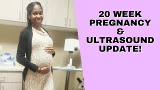 20 Week Pregnancy Update! Fibroids Update & Progress | VLOG