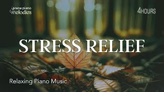 Soothing for Stress Relief, Relaxation. The Power of Nature Sounds for Sleeping & Studying.