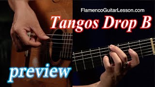 Tangos in drop B tuning Lluvia 1 New setup Flamenco Guitar flamencoguitarlesson.com preview