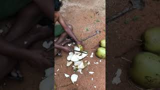 Amazing Coconut Cutting Skills,coconut cutting on village life,how to cut coconut