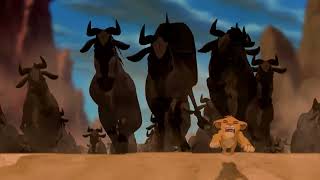 The Lion King 1994: The Stampede