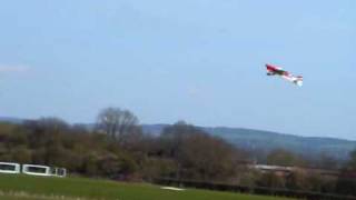 Oxfordshire fly in first flight of the day