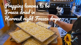 The Surprising Secret to Perfectly Preserving Lemons for #Harvest right freeze dryer