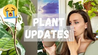 I Left My Plants for 2.5 Weeks! Plant Updates | I HAVE ISSUES 🌿🫠