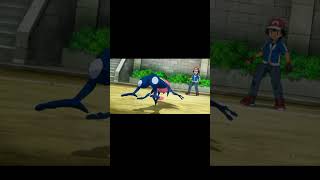 Greninja × Charizard × Infernape |The Greatest Trio| London View - TPL BM OTP | #pokemon , #shorts