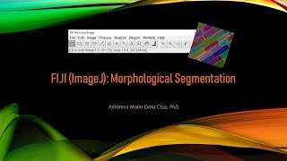 FIJI (ImageJ): Morphological Segmentation