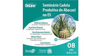 Seminário Cadeia Produtiva do Abacaxi no ES