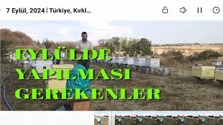 Eylül ayında arıya yapılması gereken detaylı anlatım ne fayda