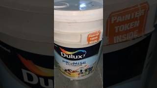 💥👀DULUX Promise Ext.(Burst of spring 🌼)#youtubeshorts #like #shortvideo #viral #trending #youtuber 💥