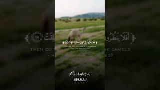 تلاوة خاشعة القارئ أشرف اللحجي 💙🎧🇾🇪