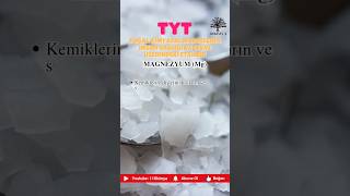 Magnezyumun İnsan Sağlığı ve Çevre Üzerindeki Etkileri kimya tyt ayt yks 118kimya 2024 2024tayfa