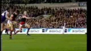 Essendon embarrasses Fremantle in their first final 2003