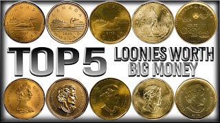 TOP 5 Most Valuable Loonies in Circulation - Canadian Dollar Coins Worth BIG MONEY