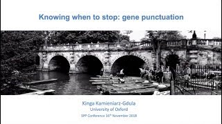 SPP Oxford 2018: Kinga Kamieniarz-Gdula (Oxford Uni) - 'Knowing When To Stop: Gene Punctuation'