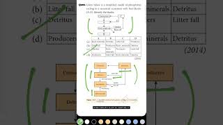 MCQs For NEET, Ecosystem, Nutrient Cycling - Phosphorus Cycle, Biology Class 12th PYQs Solved.