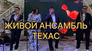 Живой ансамбль Техас. Живой ансамбль Шымкент  ☎  8775 397 47 75