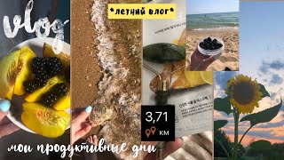 Мои продуктивные дни//летний VLOG//море, спорт и отдых