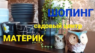 ОБЗОР РАСТЕНИЙ🌿КЕРАМИКА🧡ПОКУПКИ🤗17.08.2024