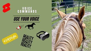 VIRTUAL HORSE RIDING ~ In The Round Pen | Voice Commands Under Saddle | #horse #shorts