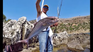 Fishing Amberjack's "AJ" from shore, Fishing Greece Kefalonia