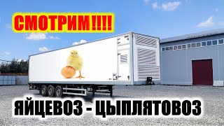 Полуприцеп Цыплятовоз Яйцевоз с автономной климатической системой.