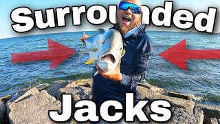 Jack Everywhere off Jetty Rocks | Fishing Galveston Beachfront