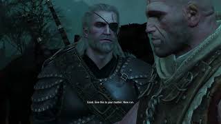 Witcher 3 - Ghost of The Past