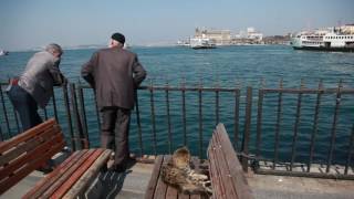 Istanbul Port