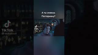 А ты знаешь Поттериану?