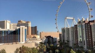 Flamingo - Flamingo Premium Room (Las Vegas, NV)