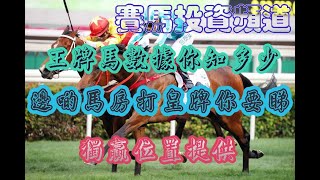 賽馬投資-29/3/2023 香港賽馬第6場貼士心水 WIN PLACE 3X4 HK Horse Racing Tips R6