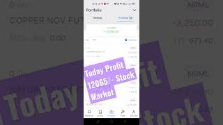 Today Profit 12065/- Stock Market