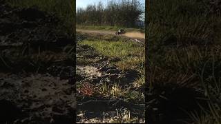 Ftx dr8 sends it on dirt road 50mph + #rccars