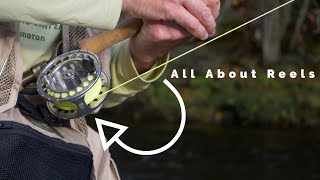 Making Sense of Fly Fishing Reels: Options and Applications