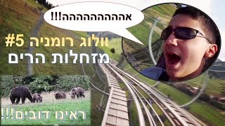 וולוג רומניה #5- מזחלות הרים ודובים